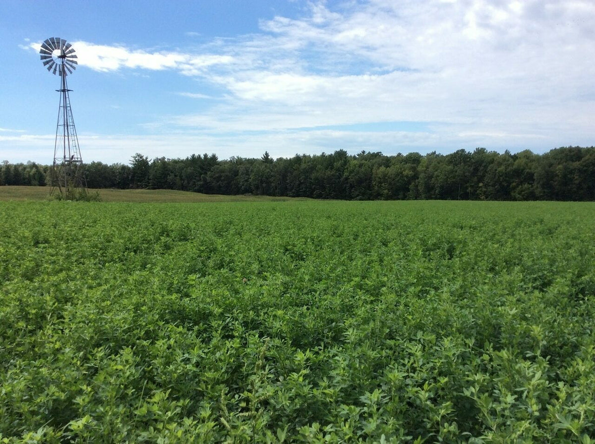 Owen Reigler&#39;s custom Alfalfa/ Clover Mix 15 Lb