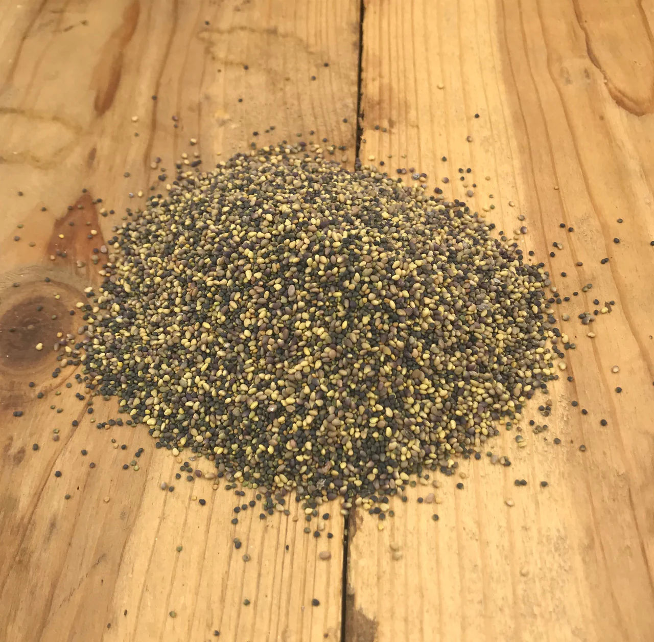 Monsterbuck Clover Mix 10 Lbs