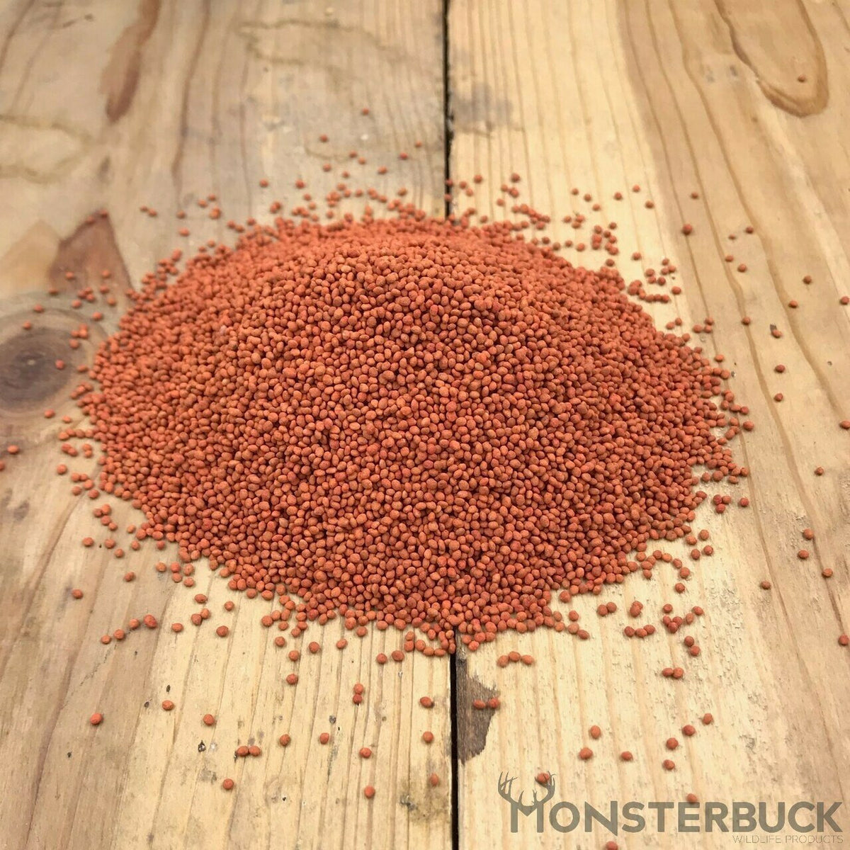 Monsterbuck Fixation Balansa Clover 3 Lb