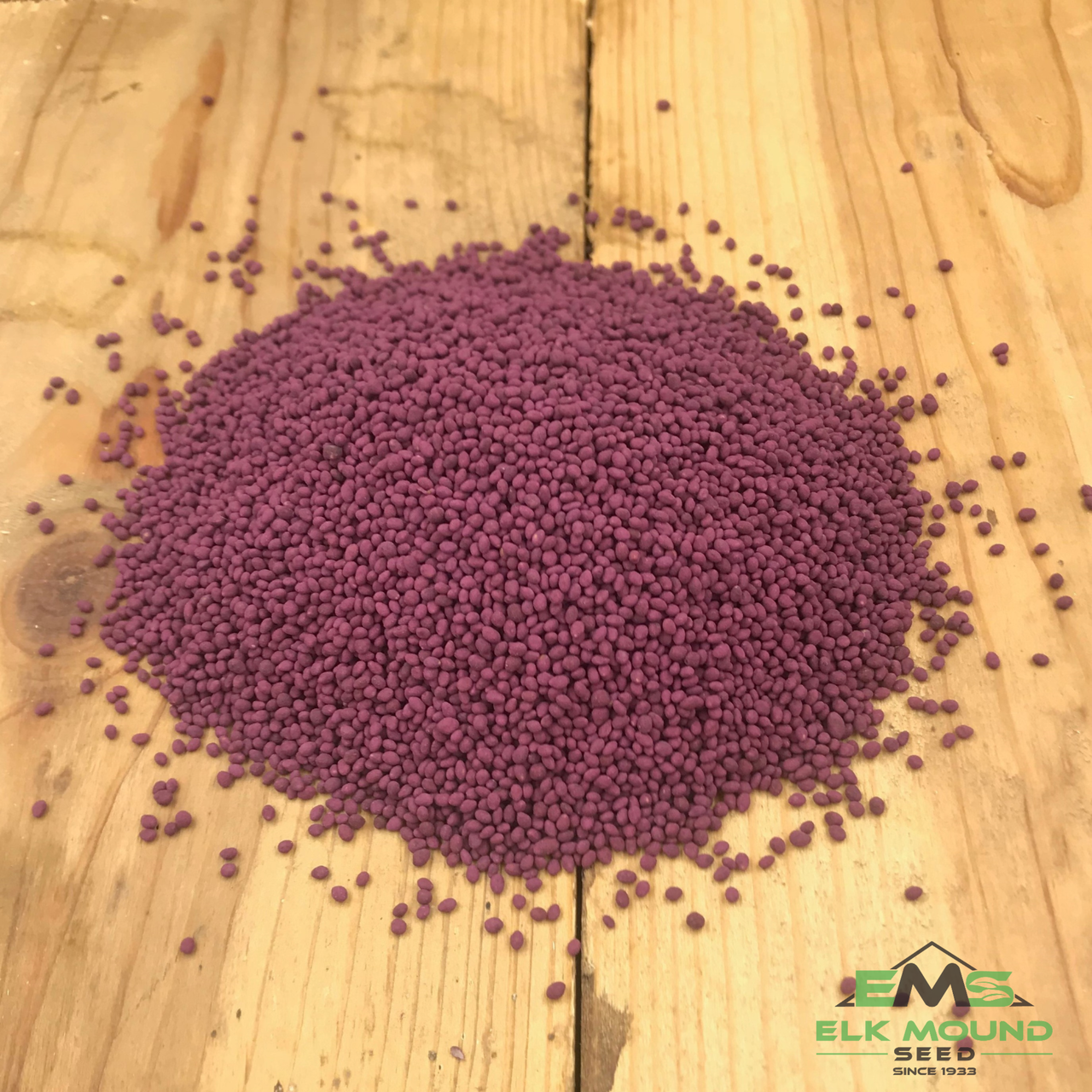 Monsterbuck Frosty Berseem Clover 3 Lb