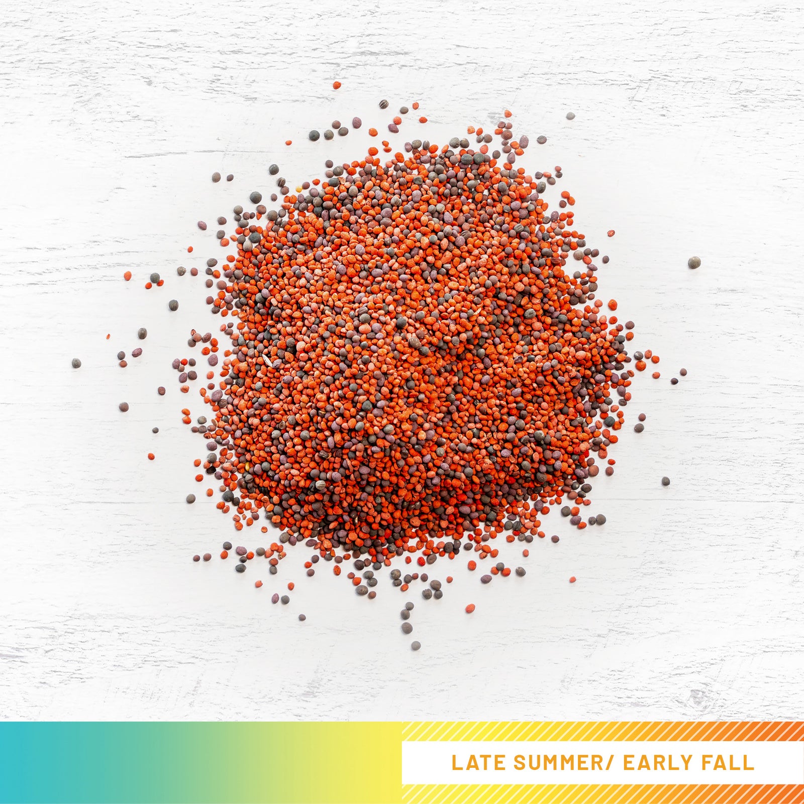 Monsterbuck Overcast 12 Lb = 1 Acre