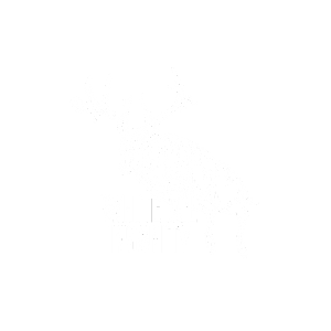 Whitetail Insanity