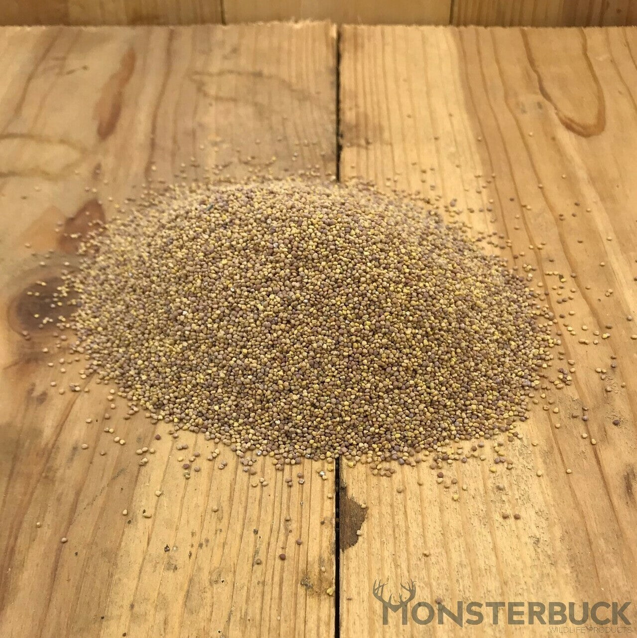 Monsterbuck White Dutch Clover 9 Lb
