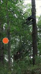 Big Game Hunter Ladder Stand HD 1.5/18&#39;6&quot; Tall